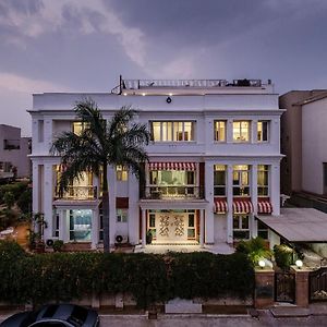 Palm 34